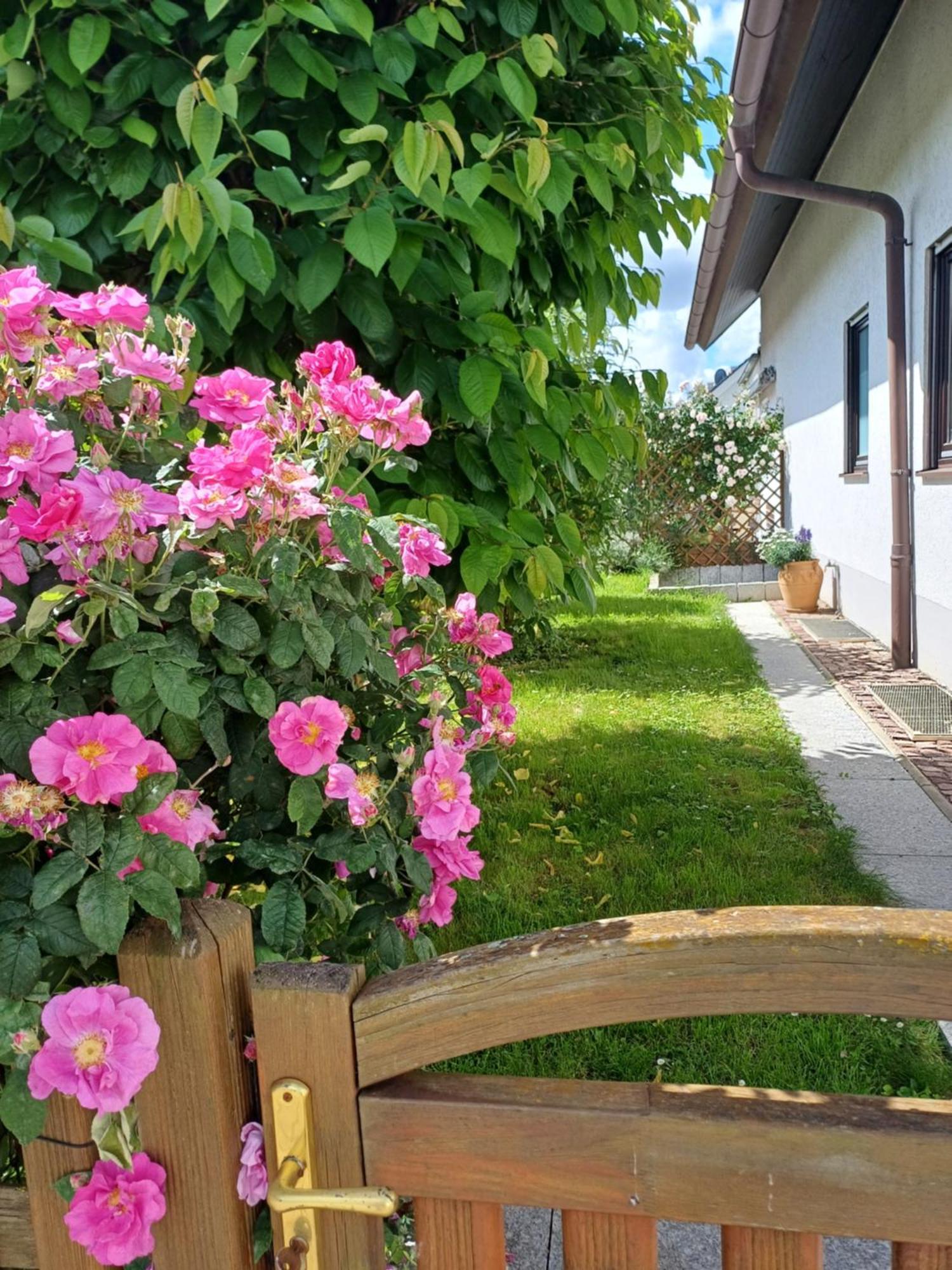Ferienwohnung Unter Dem Sonnberg Аугген Экстерьер фото